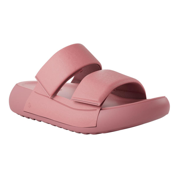 Ecco Cozmo