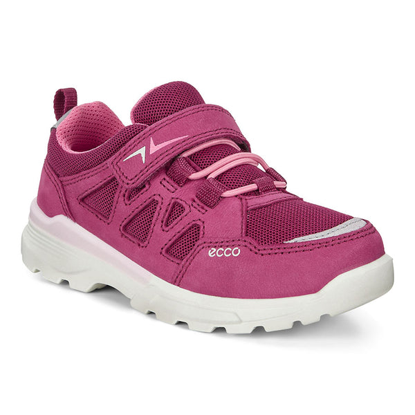 Ecco online urban hiker