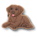 Crocs 10014892 Brown Lab Puppy, Jibbitz
