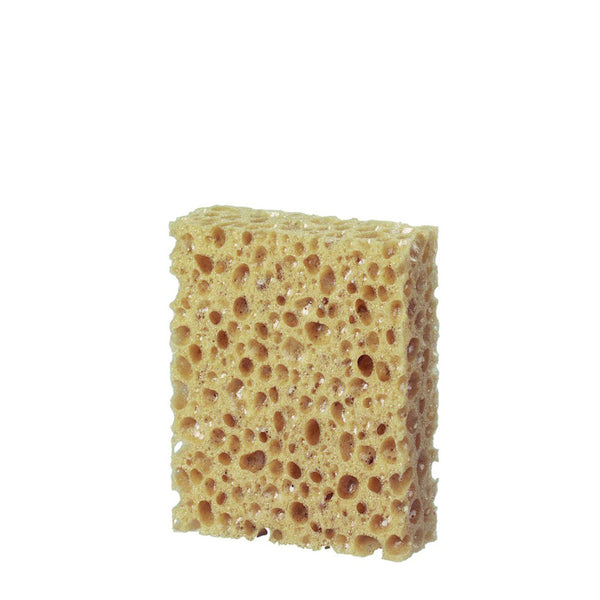 Sponge Square